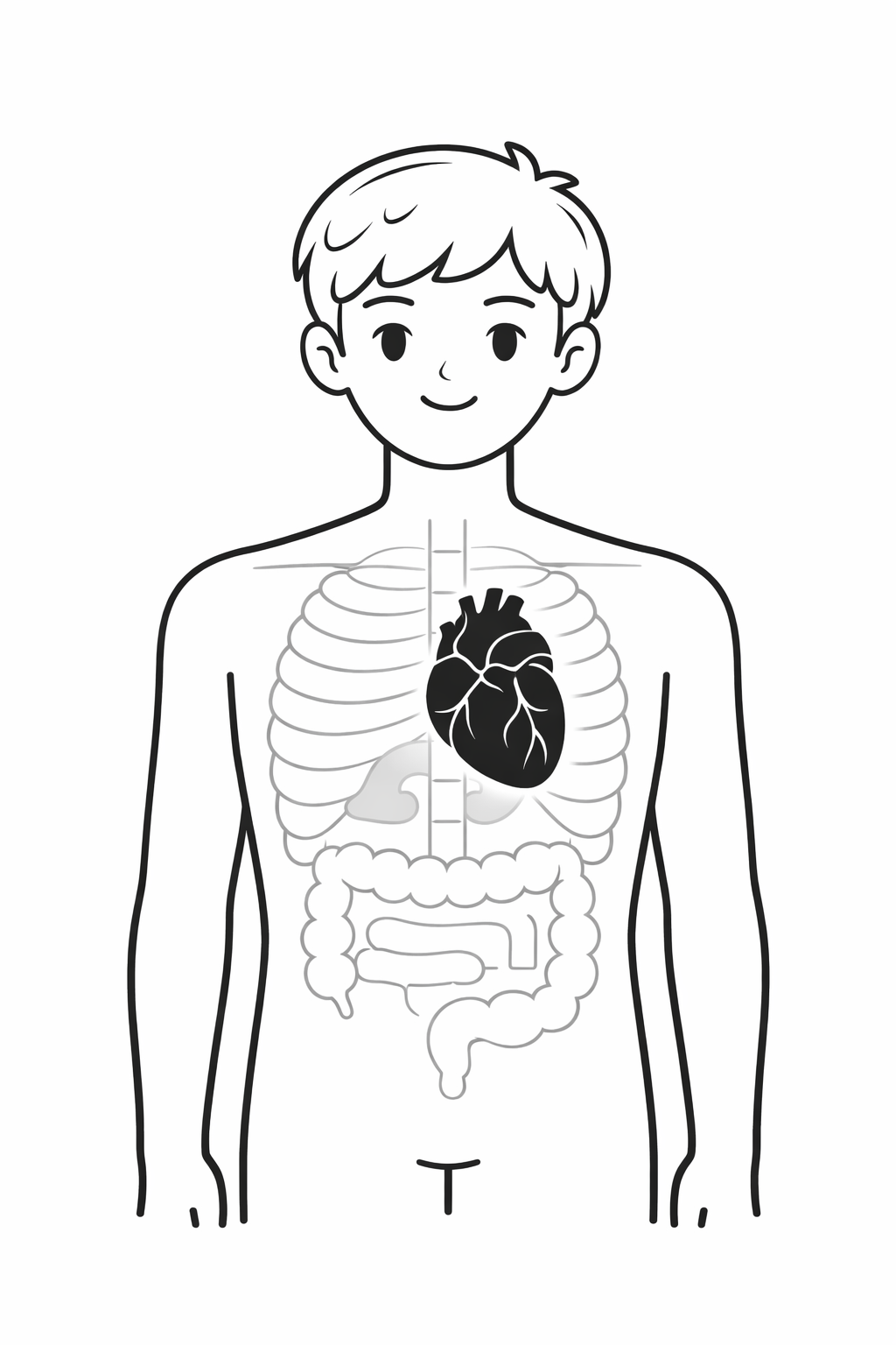 Heart Location Diagram showing the heart's position near the center of the chest